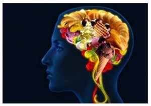 Curso Técnica Metamórfica